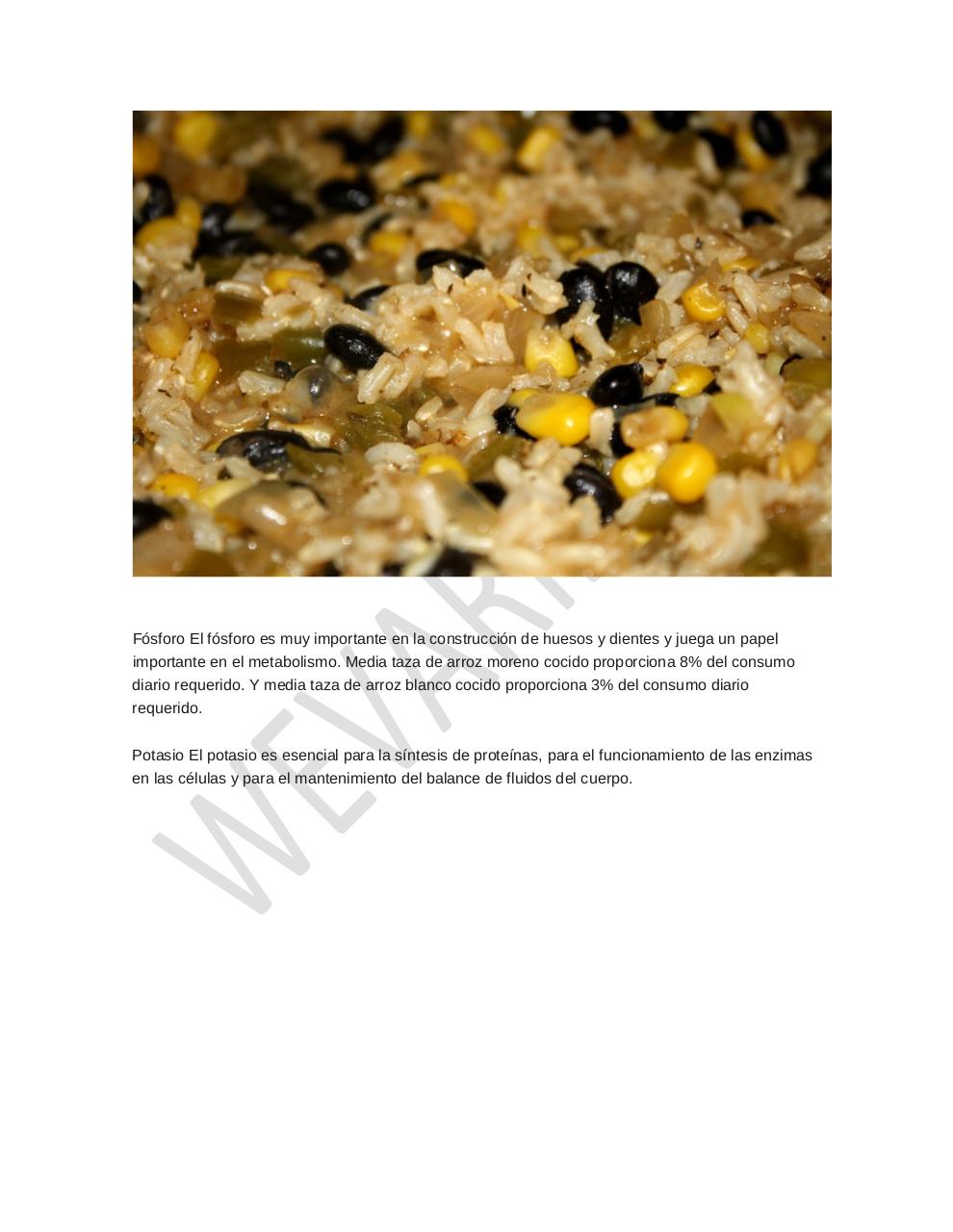 Vista previa del archivo PDF arroz-alimento-importante.pdf