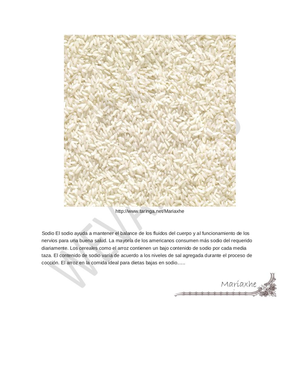 Vista previa del archivo PDF arroz-alimento-importante.pdf