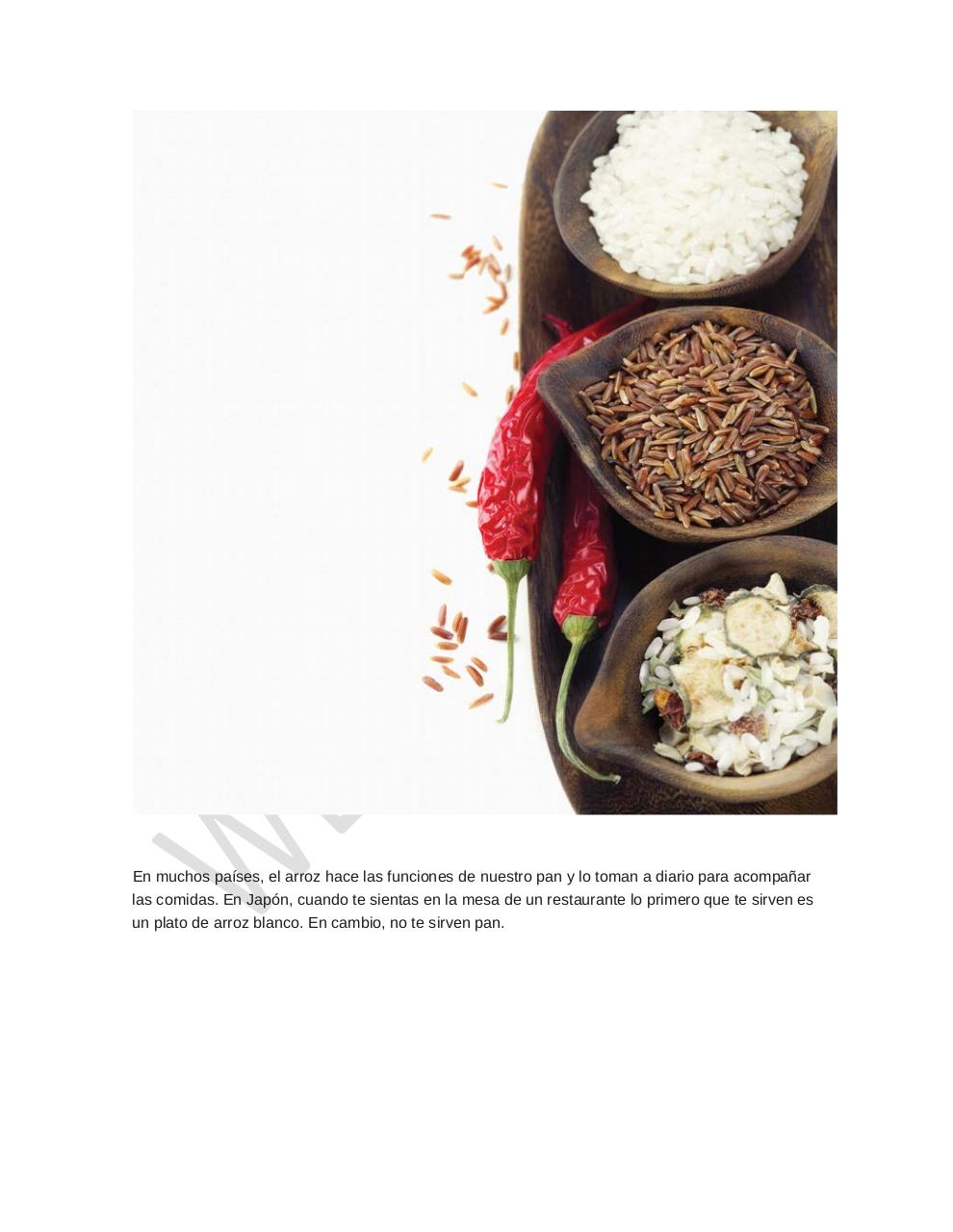 Vista previa del archivo PDF arroz-alimento-importante.pdf