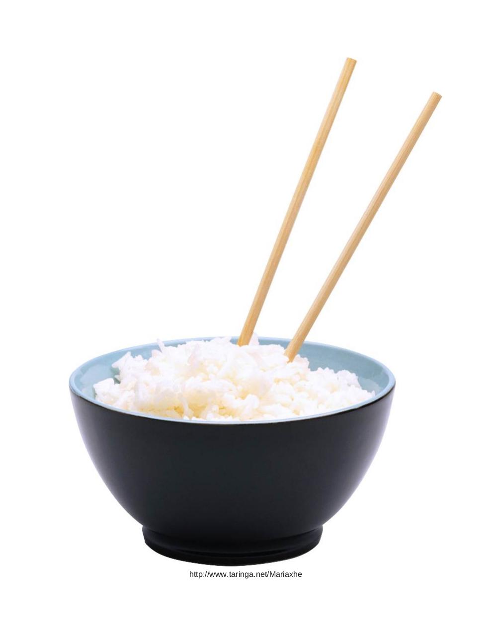 Vista previa del archivo PDF arroz-alimento-importante.pdf