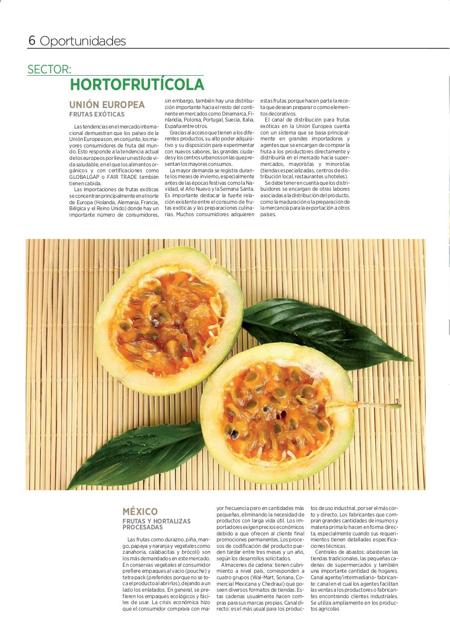 Vista previa del archivo PDF periodico-oportunidades.pdf