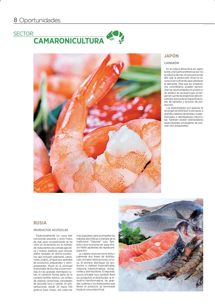 Vista previa del archivo PDF periodico-oportunidades.pdf