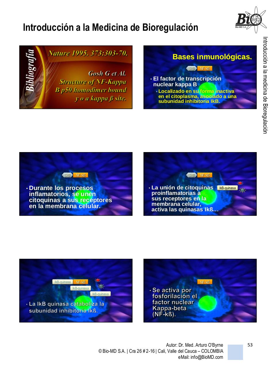 Vista previa del archivo PDF introduccion-a-la-bio-regulacion.pdf