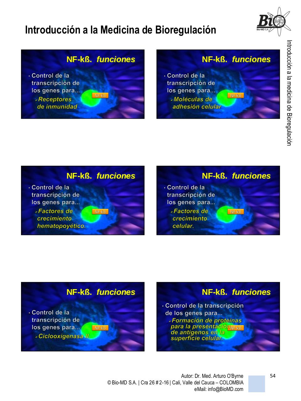 Vista previa del archivo PDF introduccion-a-la-bio-regulacion.pdf