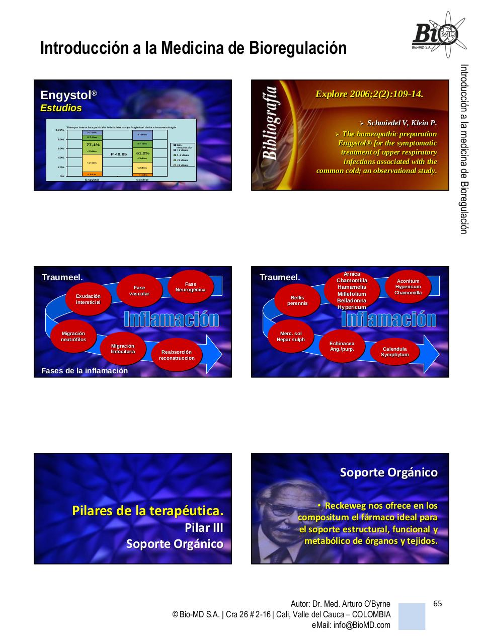 Vista previa del archivo PDF introduccion-a-la-bio-regulacion.pdf