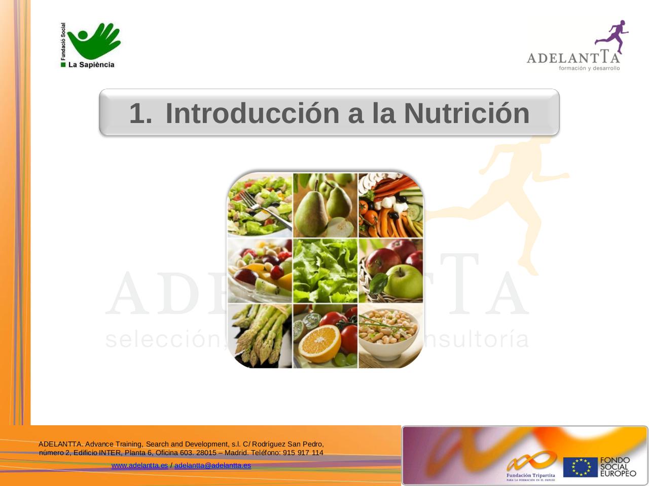 Vista previa del archivo PDF 07112012-la-sapiencia-nutrici-n.pdf