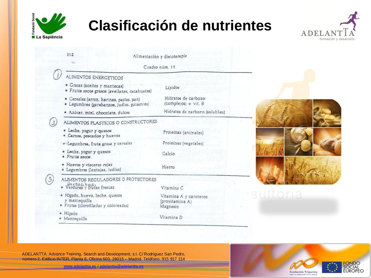 Vista previa del archivo PDF 07112012-la-sapiencia-nutrici-n.pdf