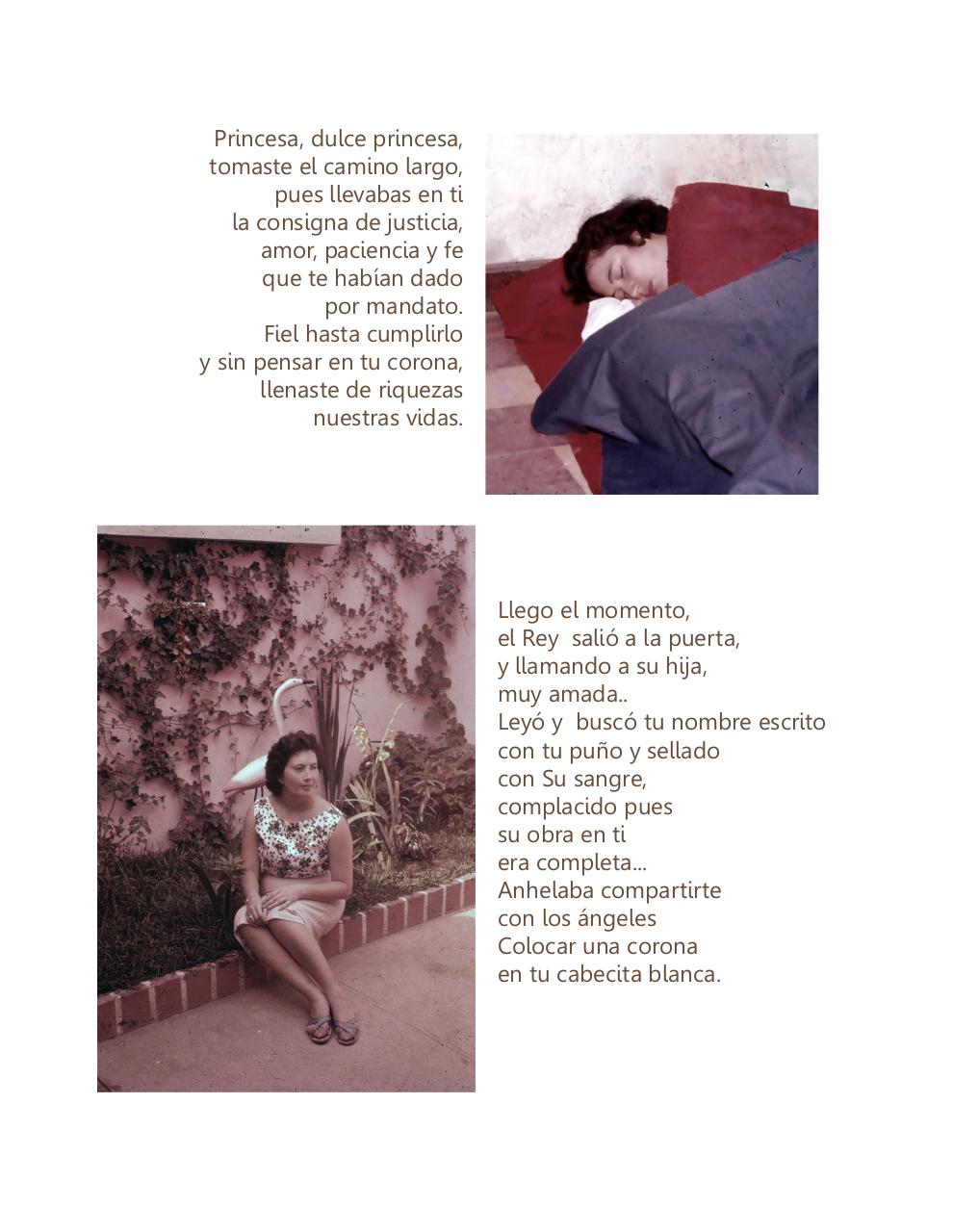 Vista previa del archivo PDF la-princesa-ha-vuelto.pdf