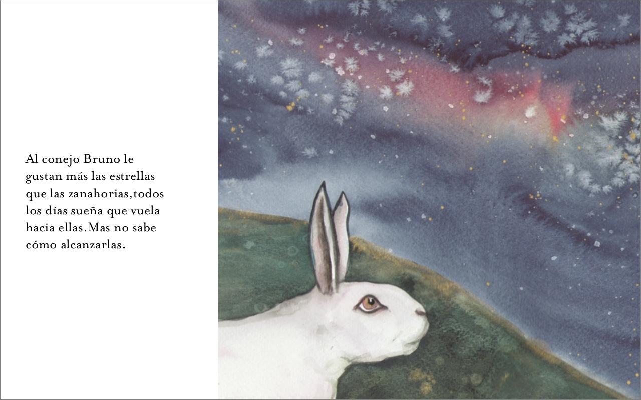 Vista previa del archivo PDF brunoel-conejo-que-p-standard-1.pdf