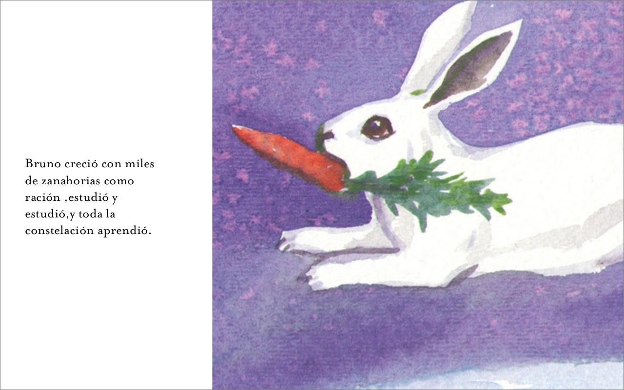 Vista previa del archivo PDF brunoel-conejo-que-p-standard-1.pdf