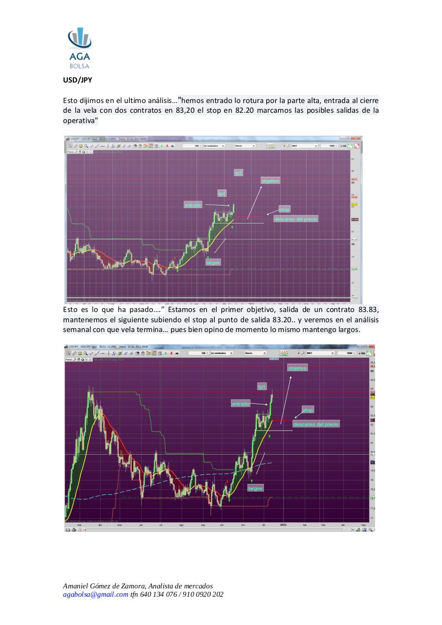 Vista previa del archivo PDF semana-17-de-diciembre-2012.pdf
