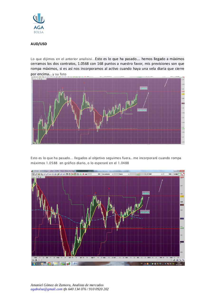 Vista previa del archivo PDF semana-17-de-diciembre-2012.pdf