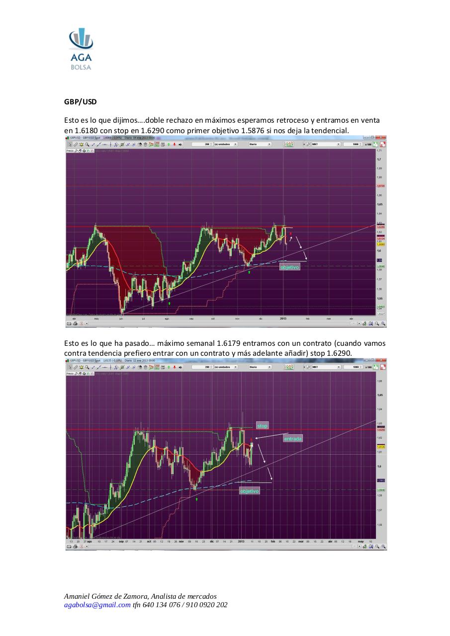 Vista previa del archivo PDF semana-17-de-enero-2013.pdf