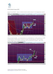 semana 17 de Enero 2013.pdf - página 6/9
