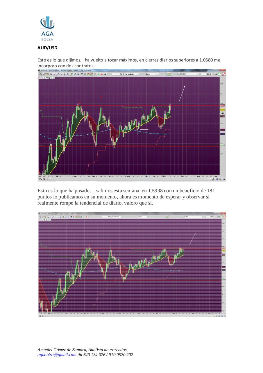 Vista previa del archivo PDF semana-21-de-enero-2013.pdf