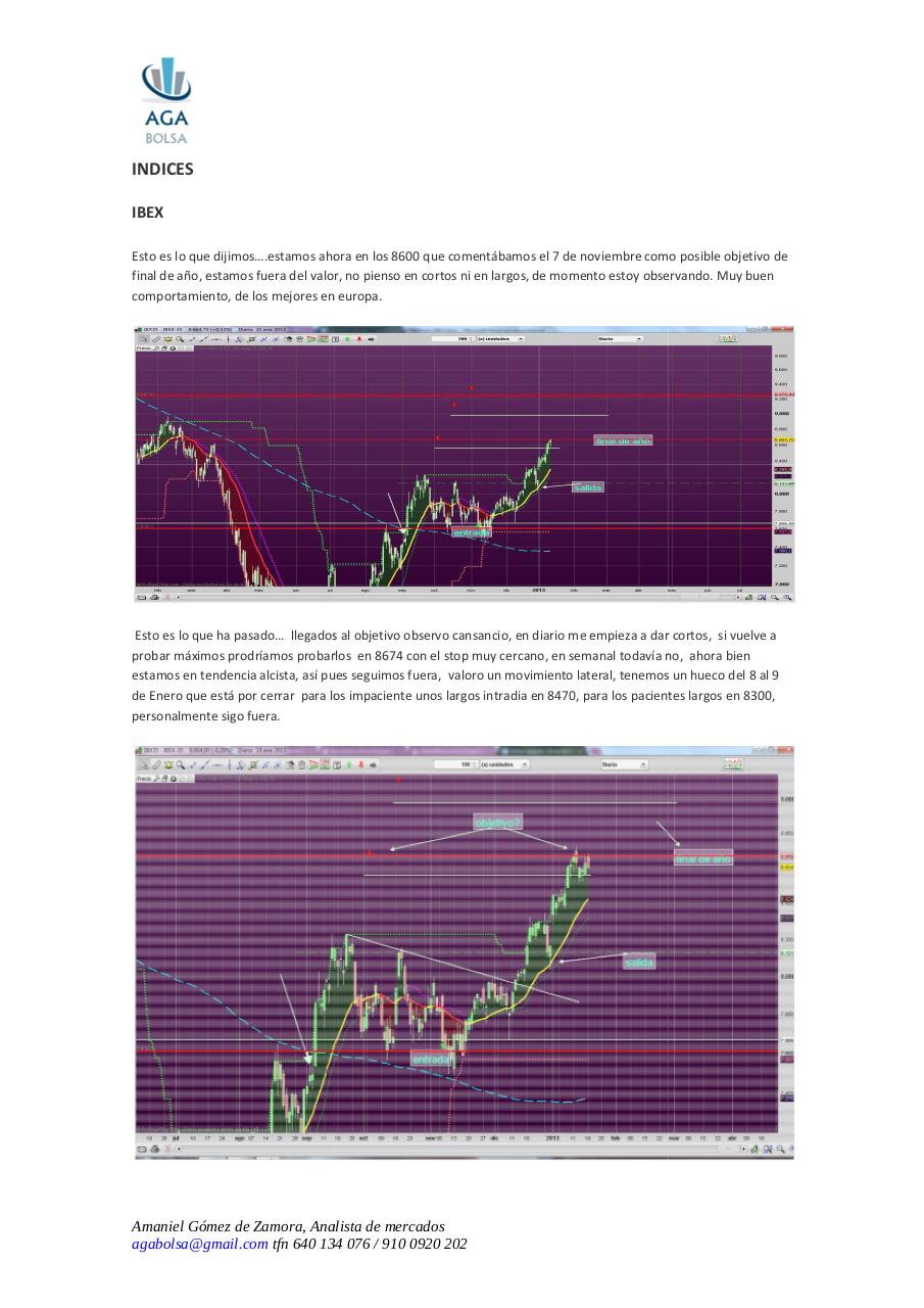 Vista previa del archivo PDF semana-21-de-enero-2013.pdf