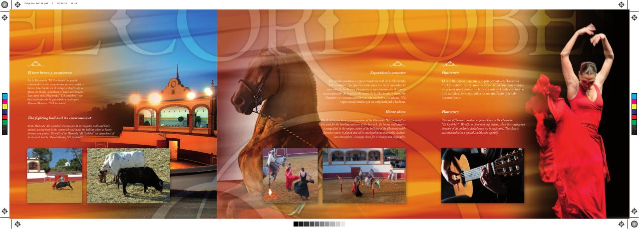 Vista previa del archivo PDF visitas-tur-sticas.pdf