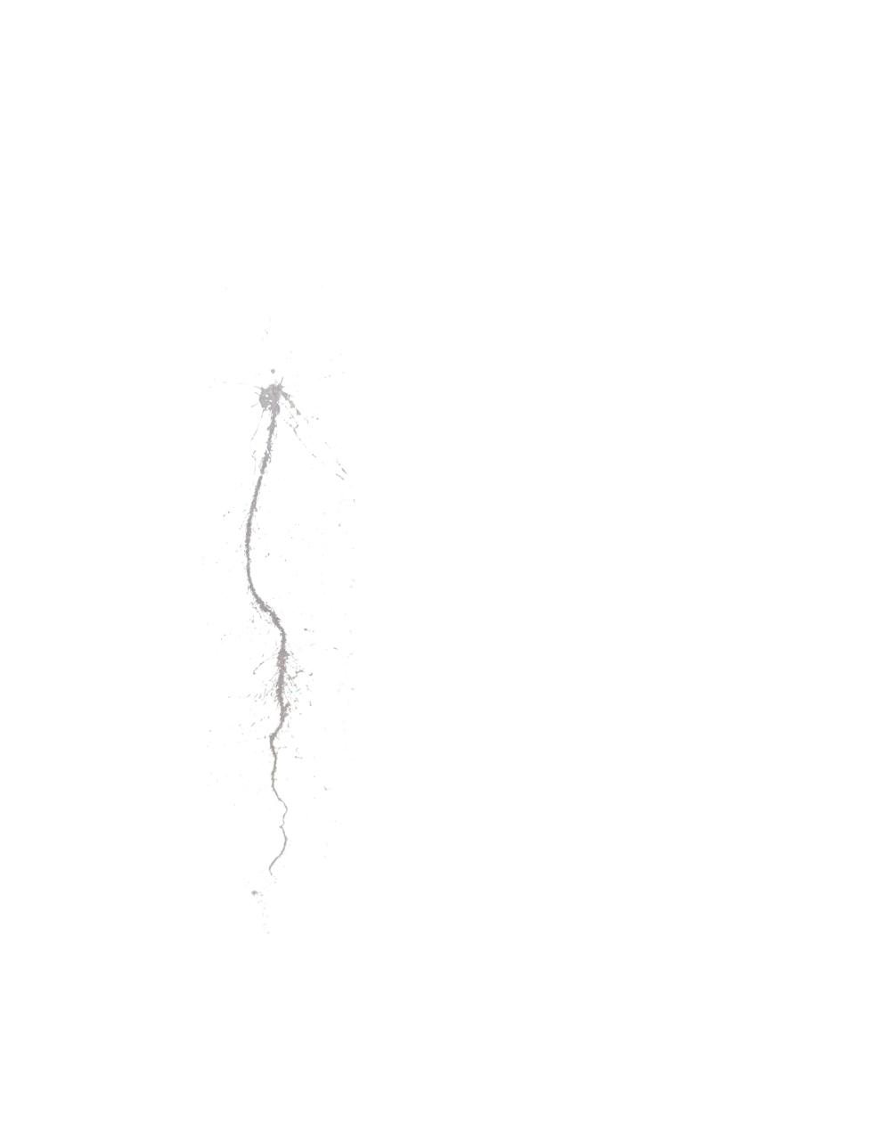 Vista previa del archivo PDF lourdes-olmos.pdf