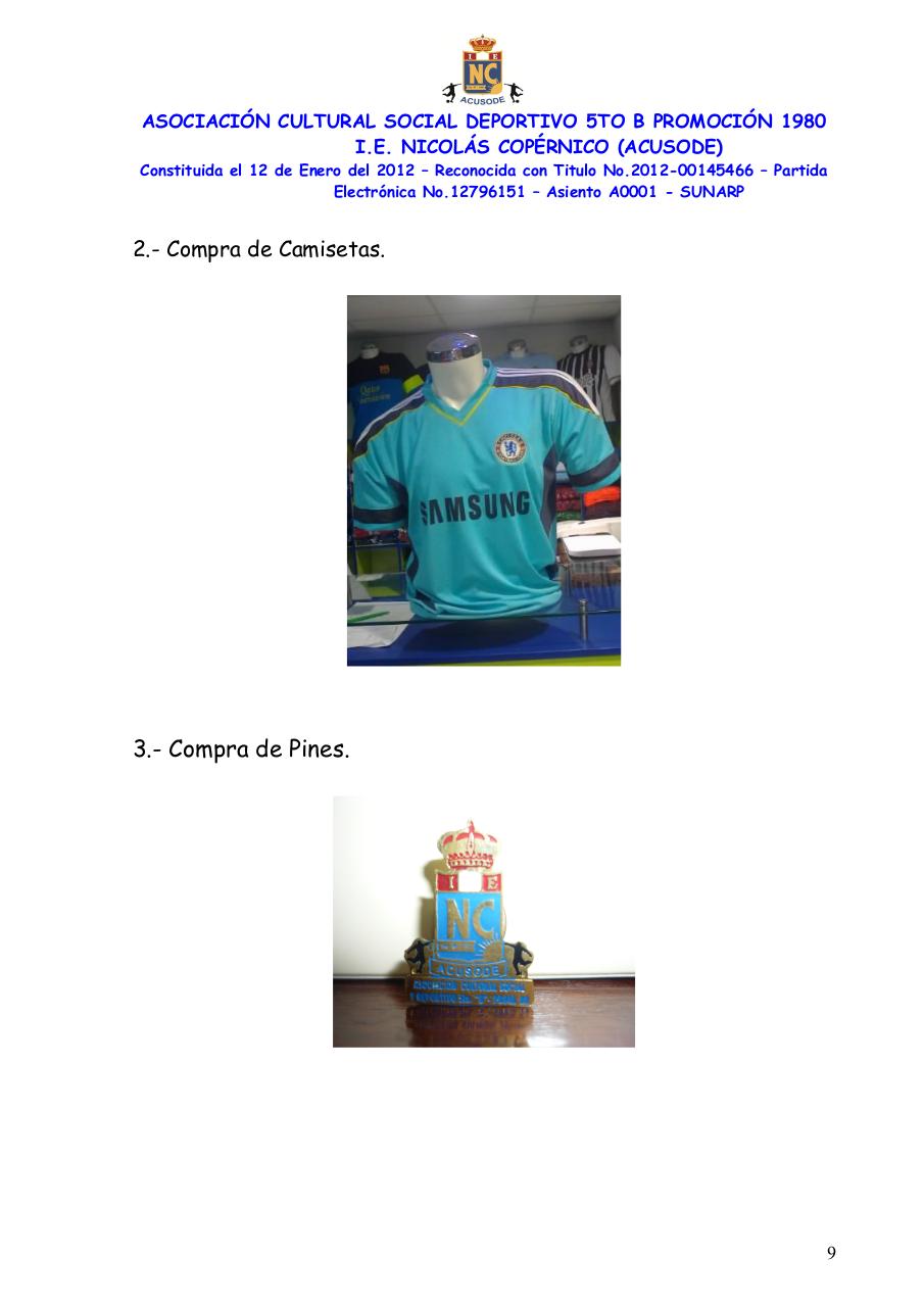 Vista previa del archivo PDF memoria-2012-acusode.pdf