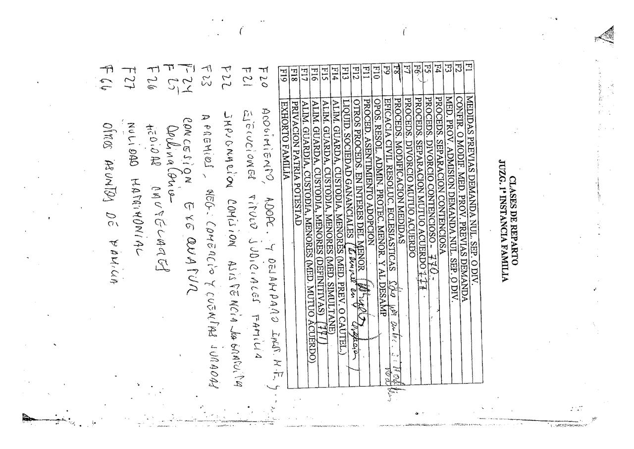Vista previa del archivo PDF normas-de-repartos-de-los-juzgados-de-familia-de-sevilla-a-21-de-febrero-de-2013.pdf