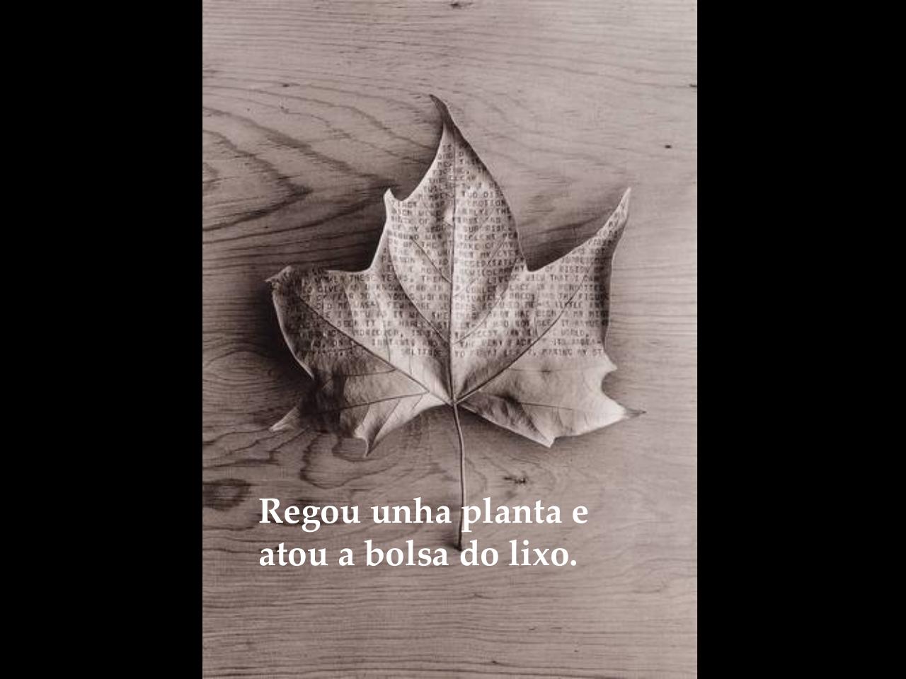 Vista previa del archivo PDF voume-deitar.pdf