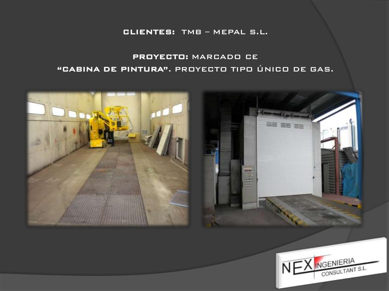 Vista previa del archivo PDF nex-marcado-ce.pdf