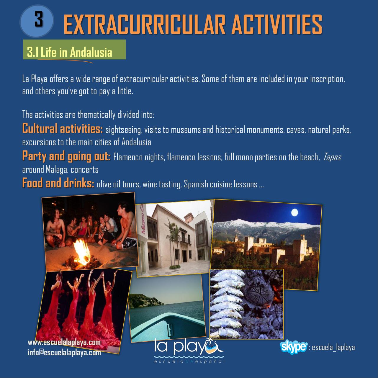 Vista previa del archivo PDF brochure-2013.pdf