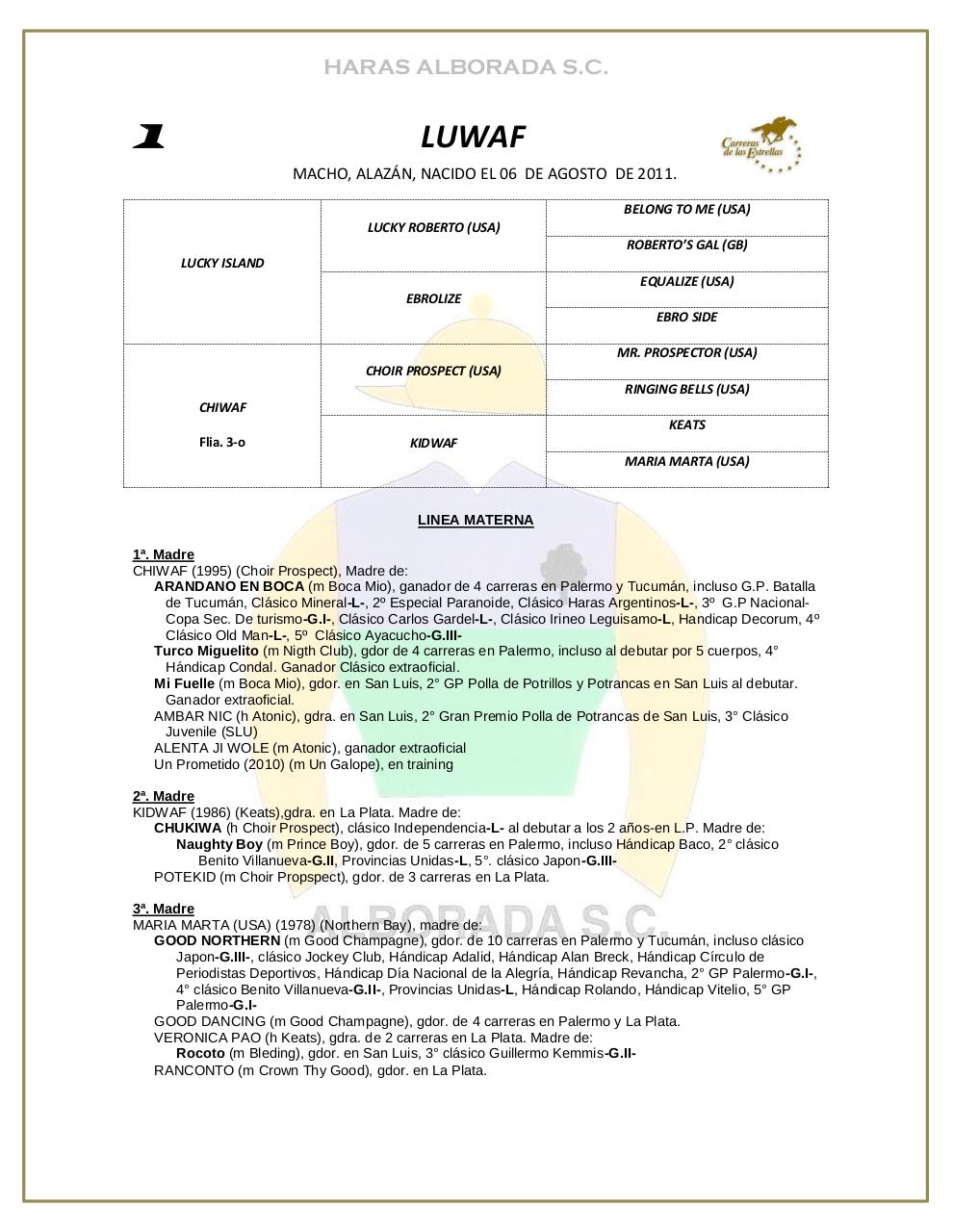 Vista previa del archivo PDF catalogo-2013.pdf