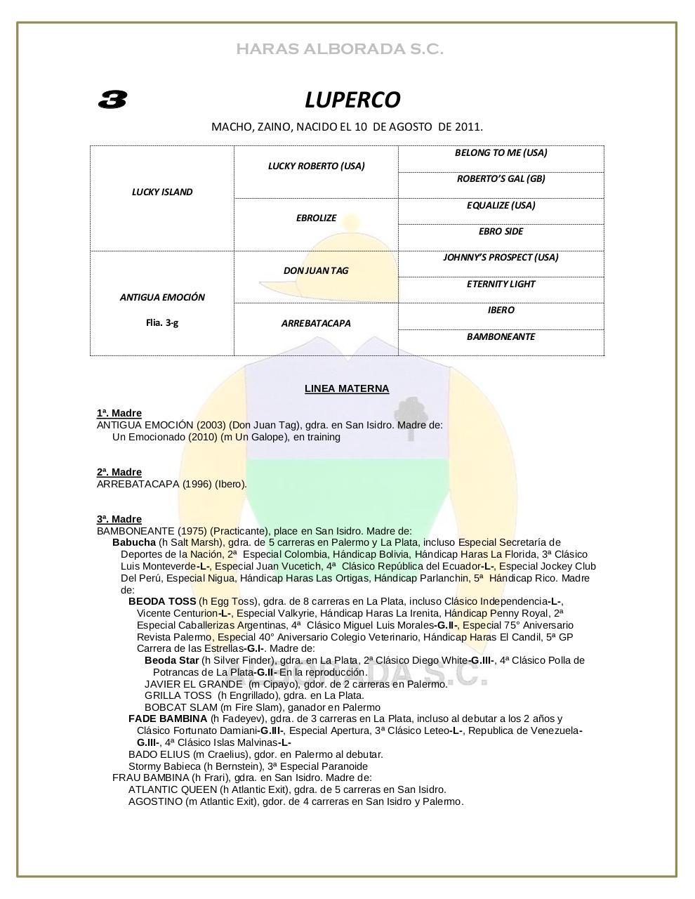 Vista previa del archivo PDF catalogo-2013.pdf