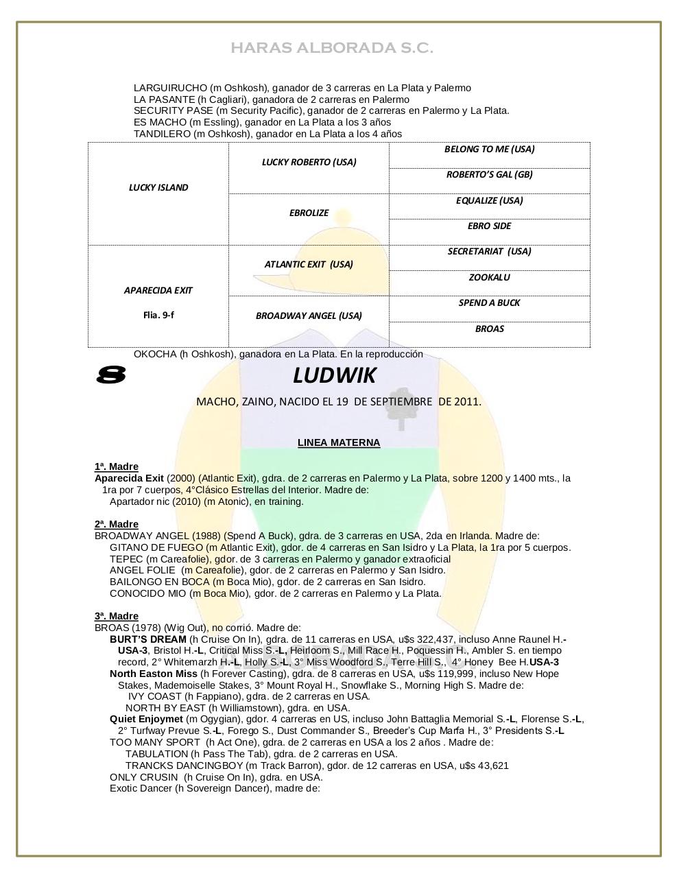 Vista previa del archivo PDF catalogo-2013.pdf