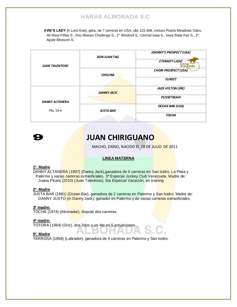 Vista previa del archivo PDF catalogo-2013.pdf