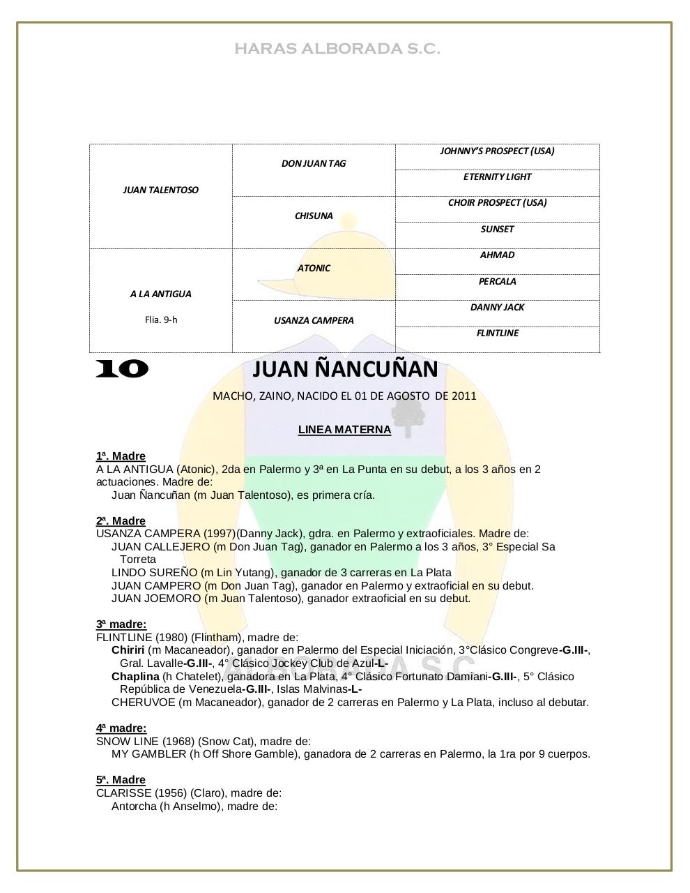 Vista previa del archivo PDF catalogo-2013.pdf
