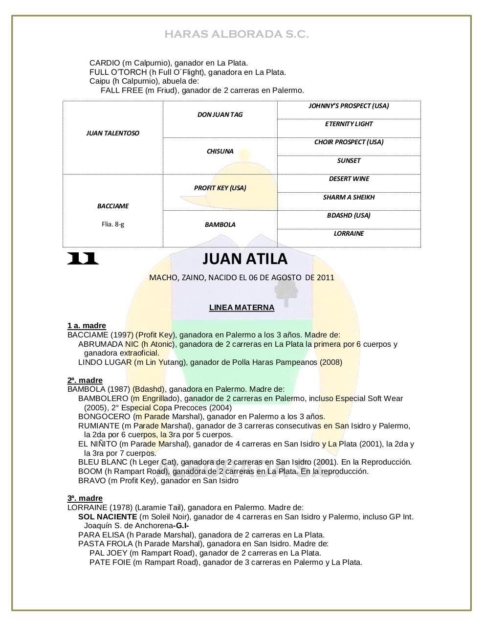 Vista previa del archivo PDF catalogo-2013.pdf