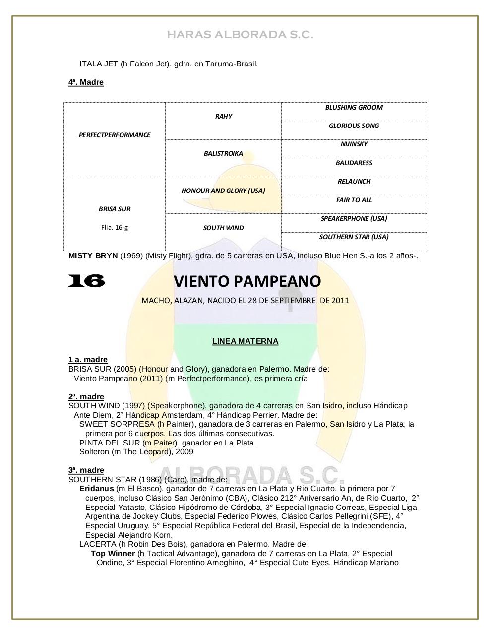 Vista previa del archivo PDF catalogo-2013.pdf