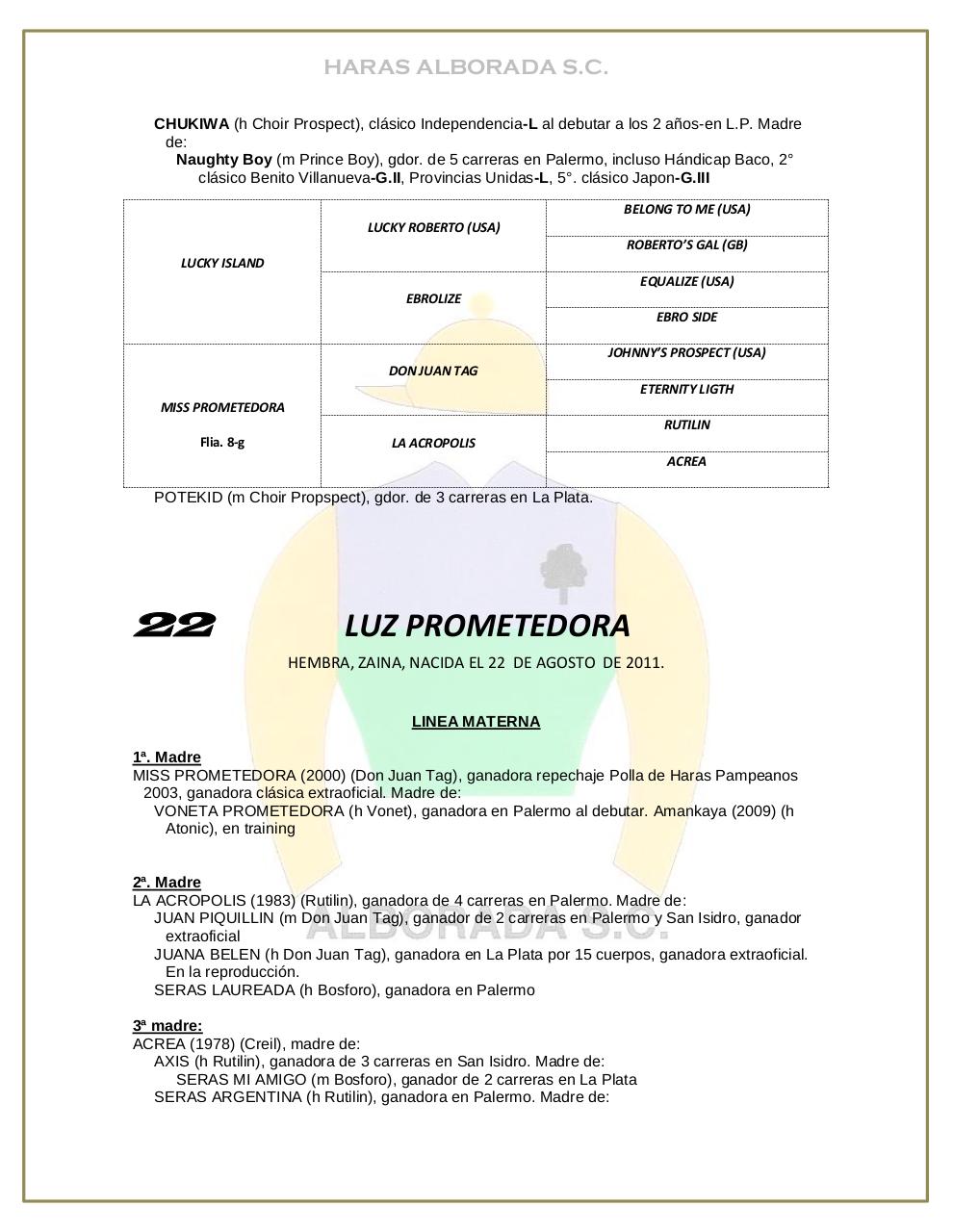 Vista previa del archivo PDF catalogo-2013.pdf