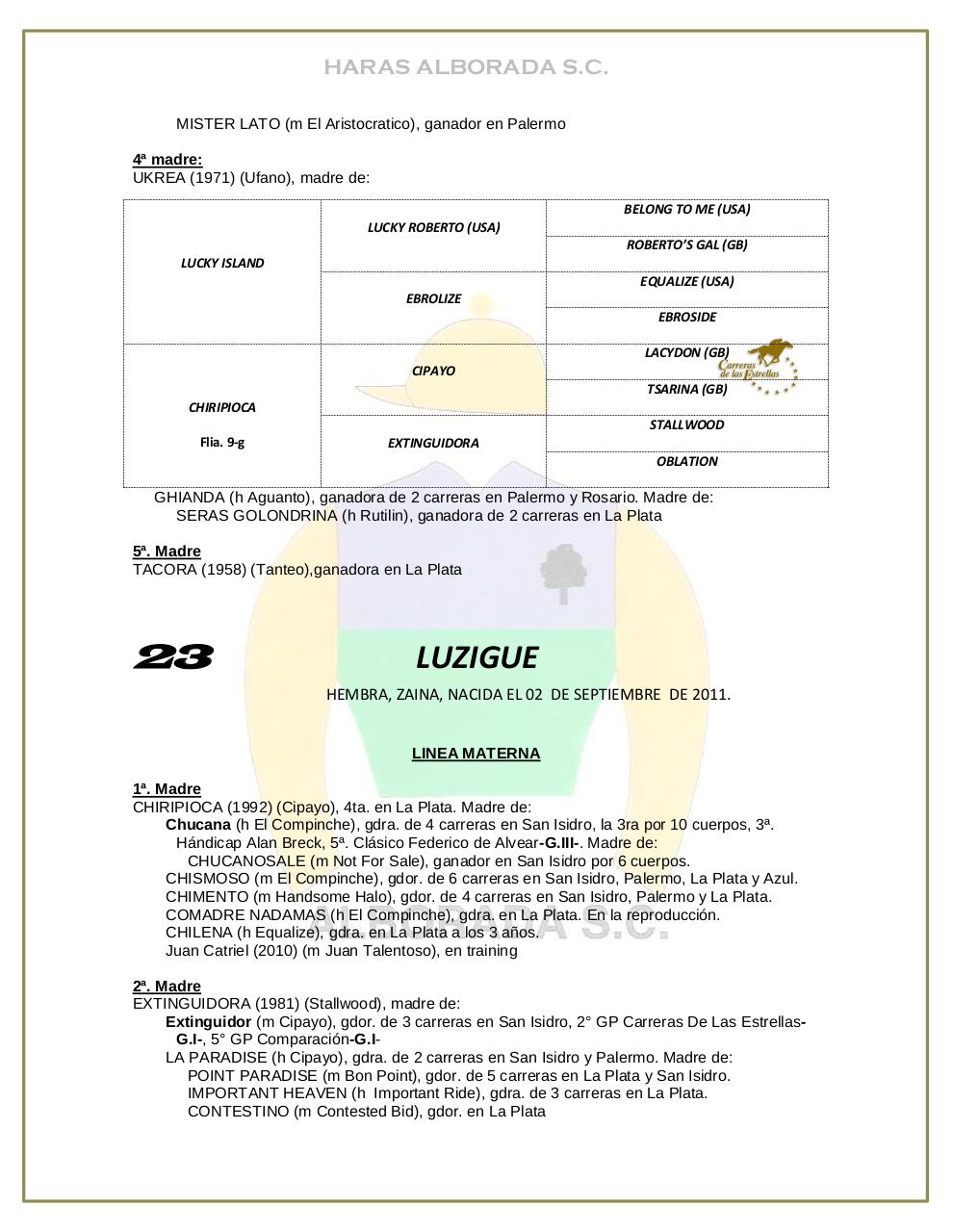 Vista previa del archivo PDF catalogo-2013.pdf