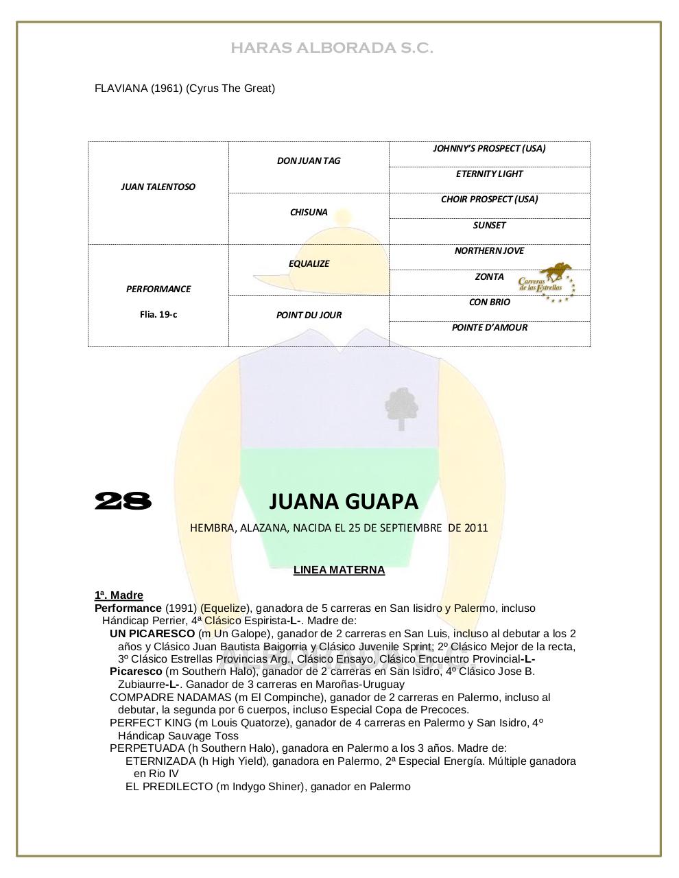 Vista previa del archivo PDF catalogo-2013.pdf