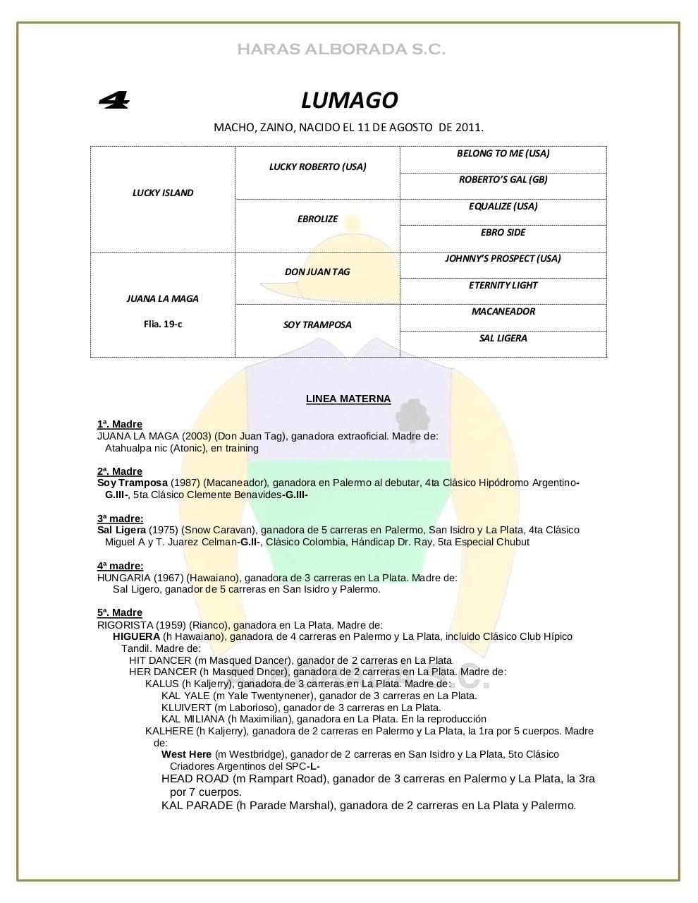 Vista previa del archivo PDF catalogo-2013.pdf