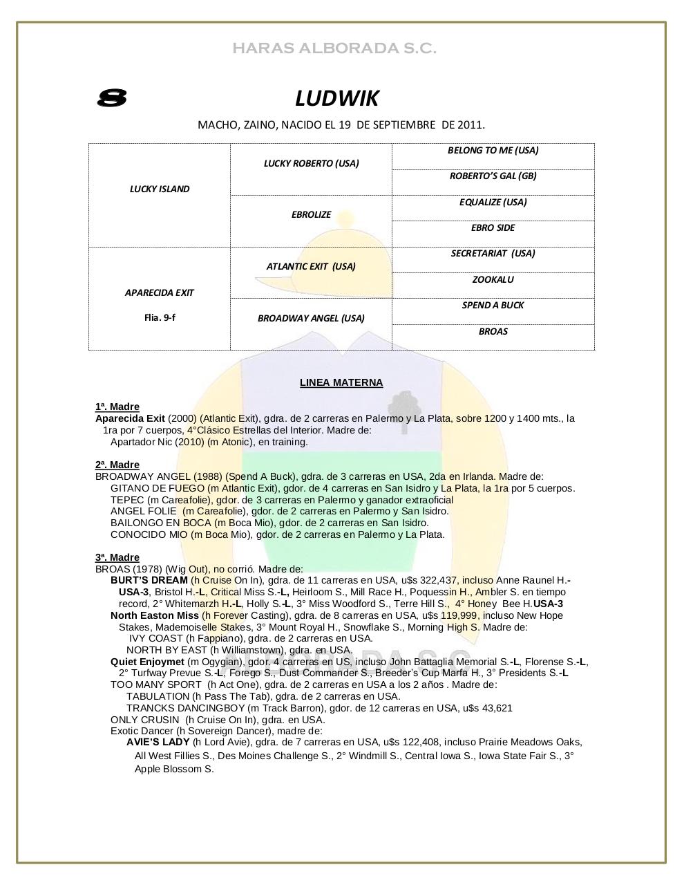 Vista previa del archivo PDF catalogo-2013.pdf