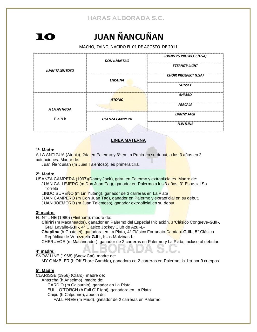 Vista previa del archivo PDF catalogo-2013.pdf