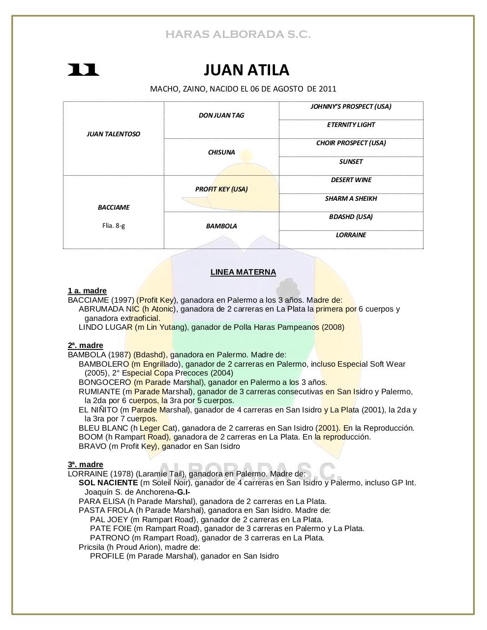 Vista previa del archivo PDF catalogo-2013.pdf