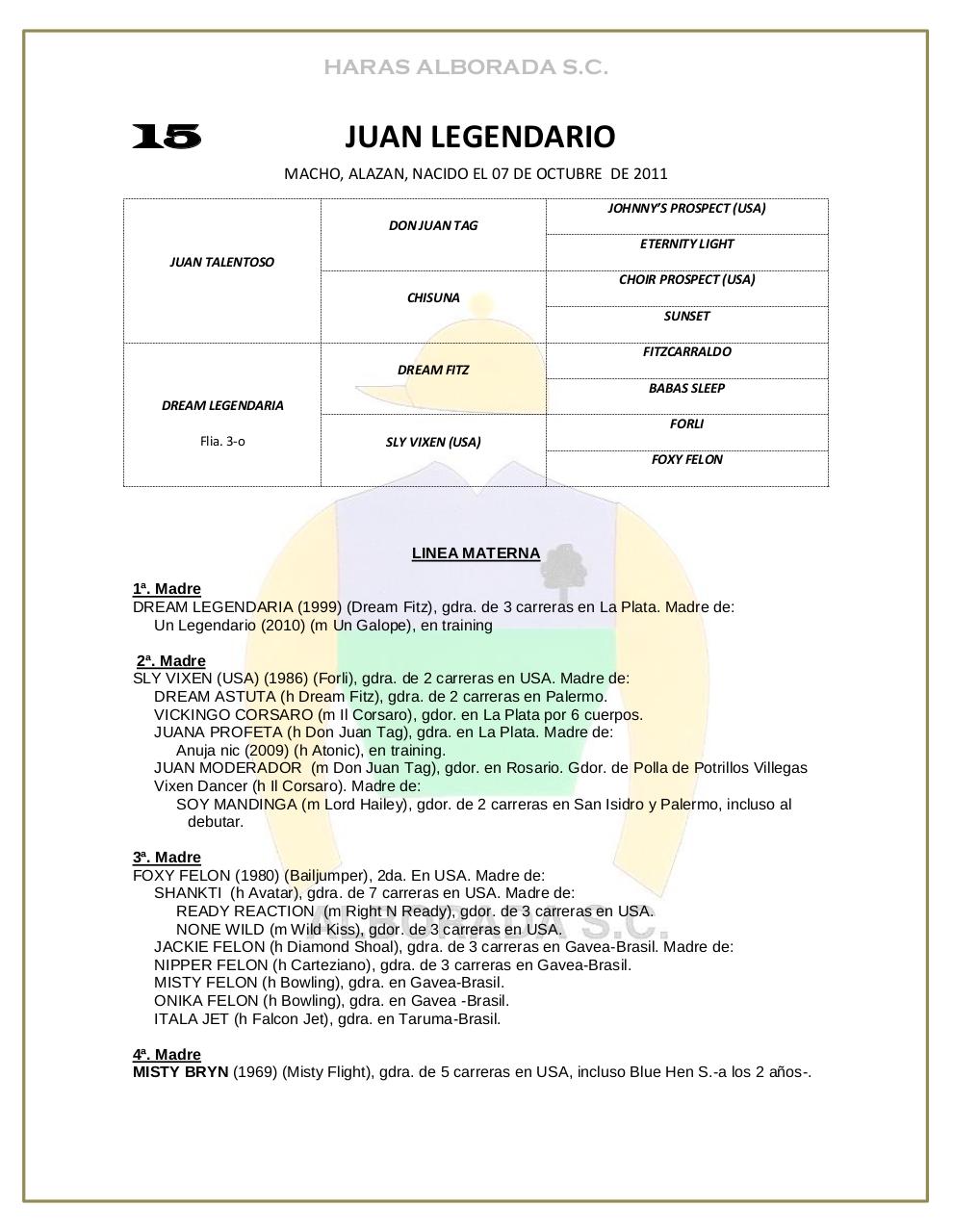 Vista previa del archivo PDF catalogo-2013.pdf