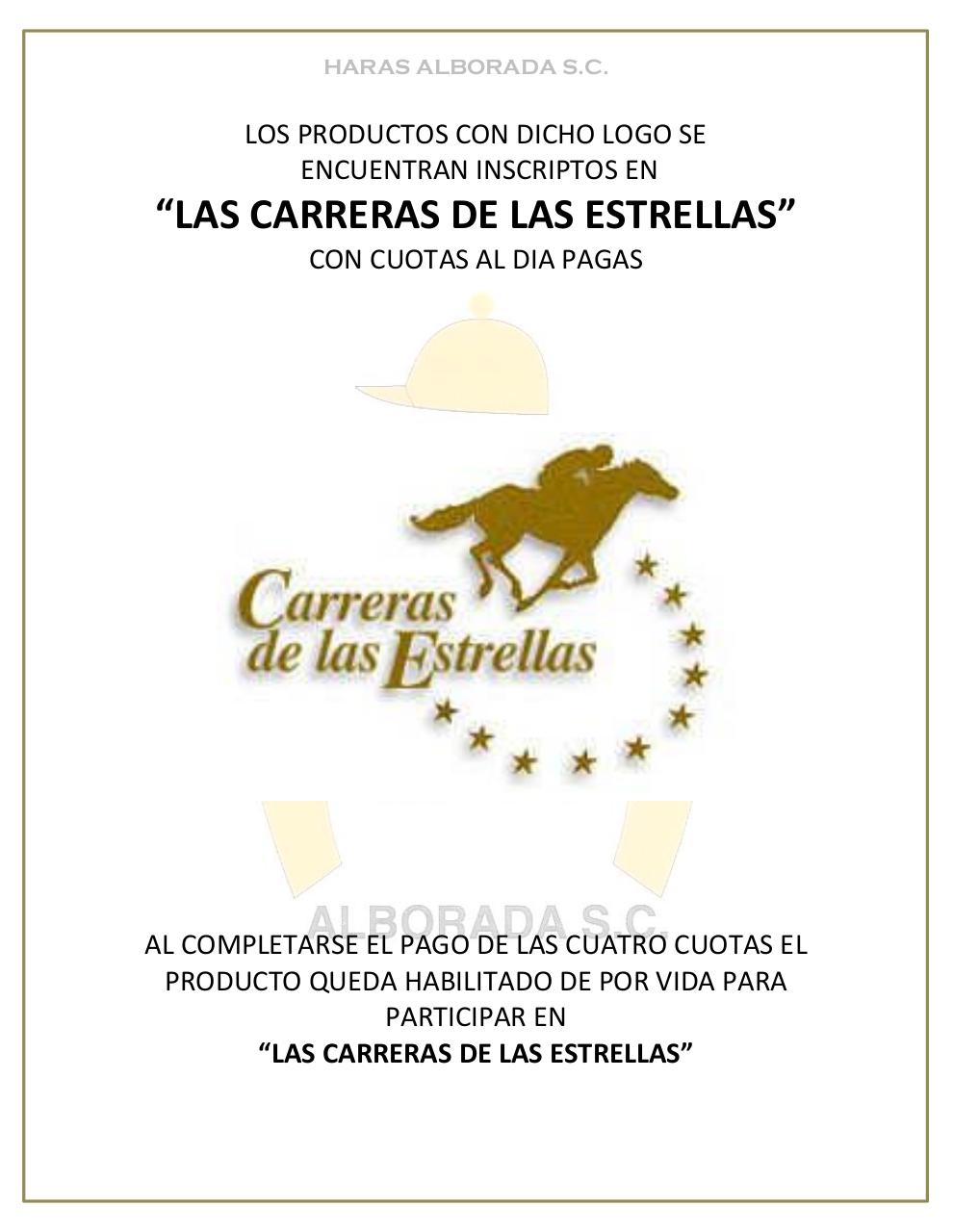 Vista previa del archivo PDF catalogo-2013.pdf