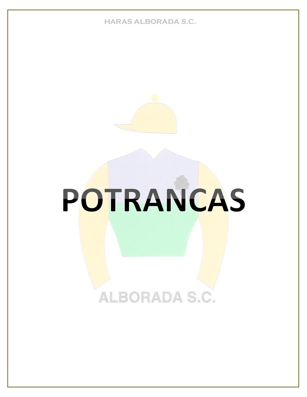 Vista previa del archivo PDF catalogo-2013.pdf