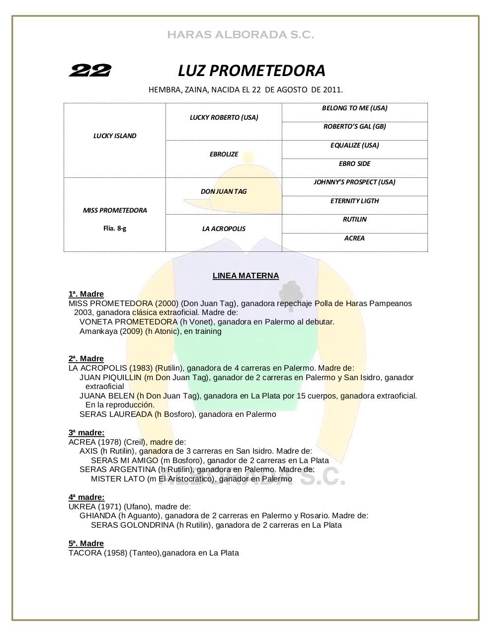 Vista previa del archivo PDF catalogo-2013.pdf