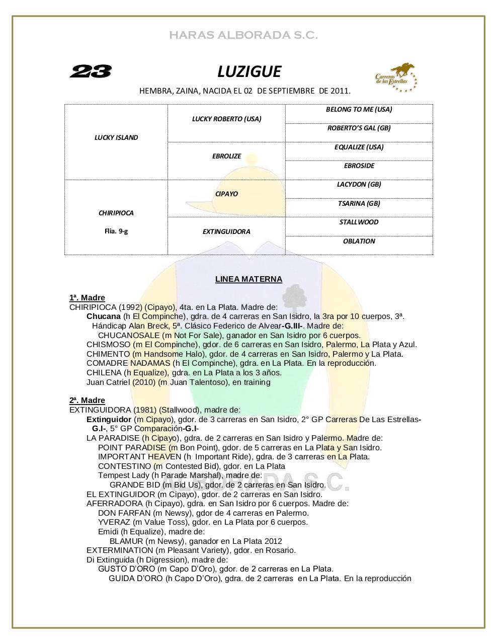 Vista previa del archivo PDF catalogo-2013.pdf