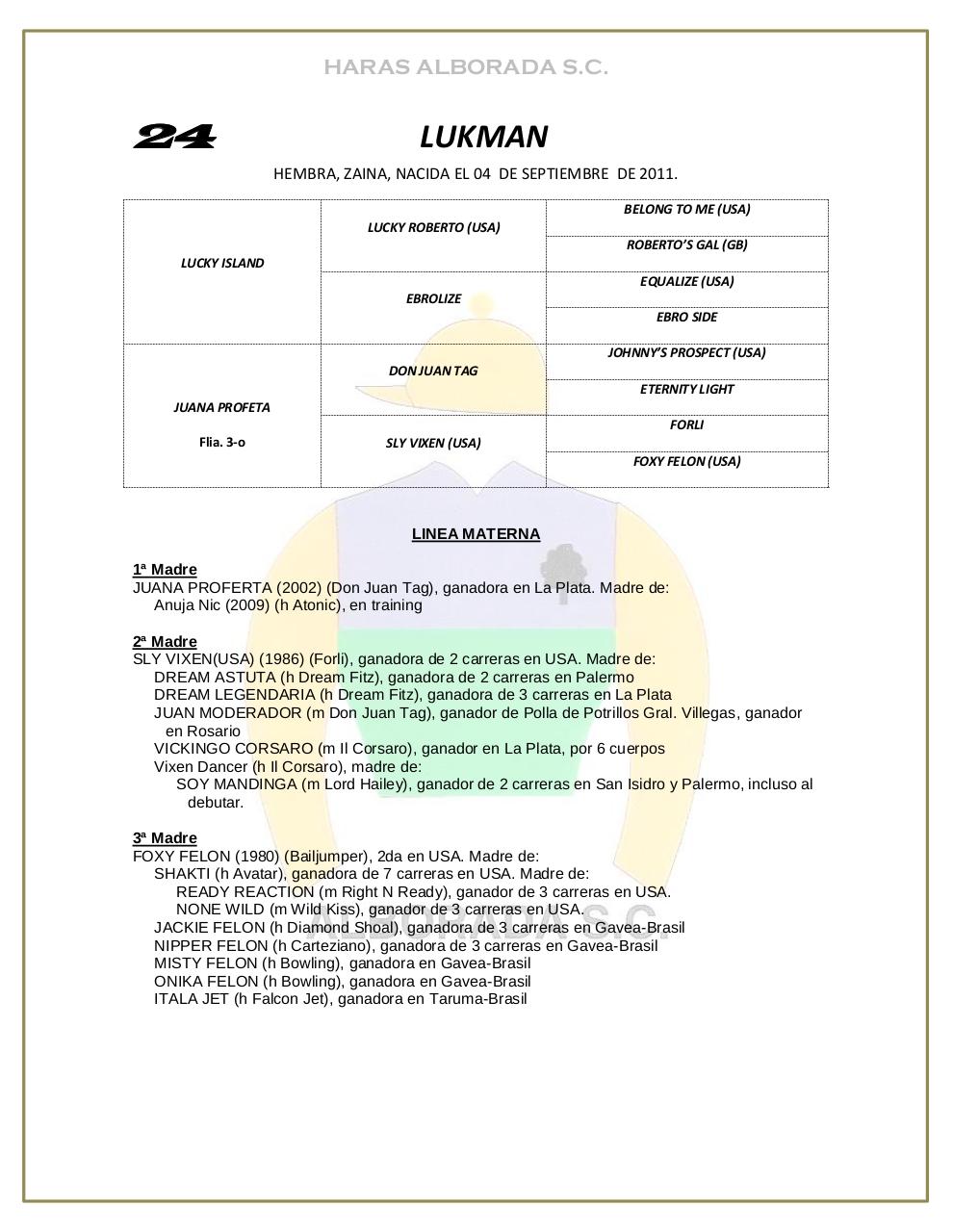 Vista previa del archivo PDF catalogo-2013.pdf