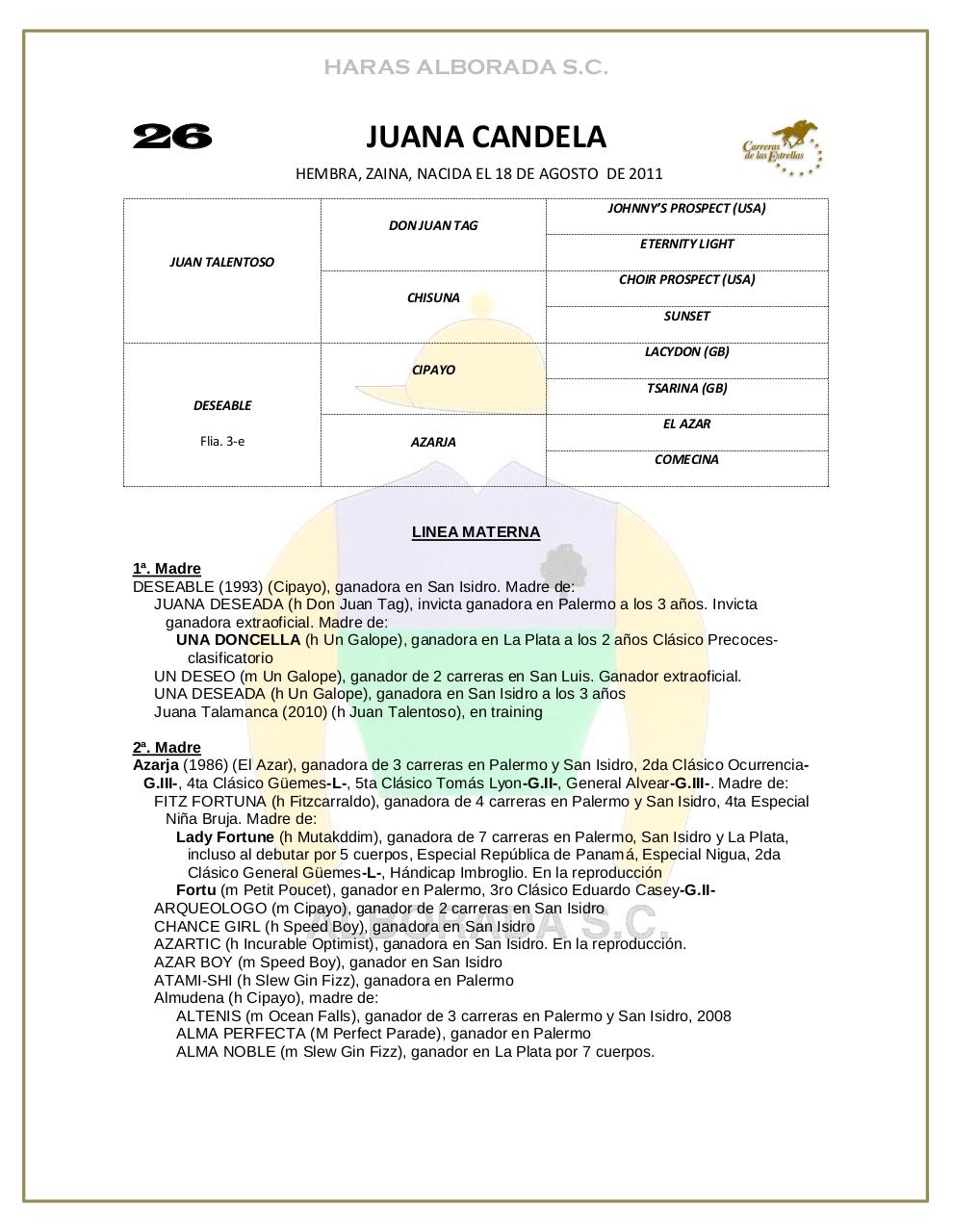 Vista previa del archivo PDF catalogo-2013.pdf