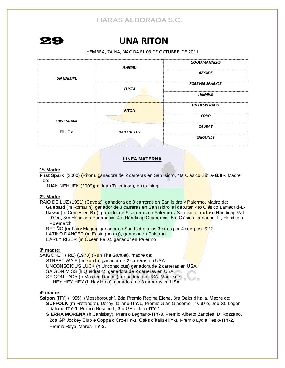 Vista previa del archivo PDF catalogo-2013.pdf