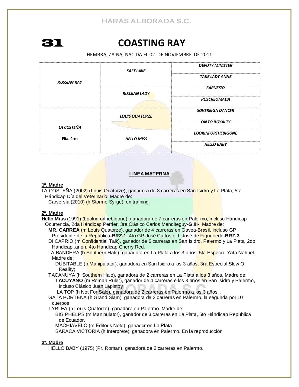 Vista previa del archivo PDF catalogo-2013.pdf